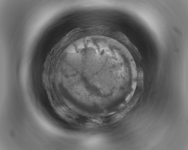 X0000111200765200908121110