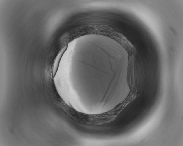 X0000111200766200908121110