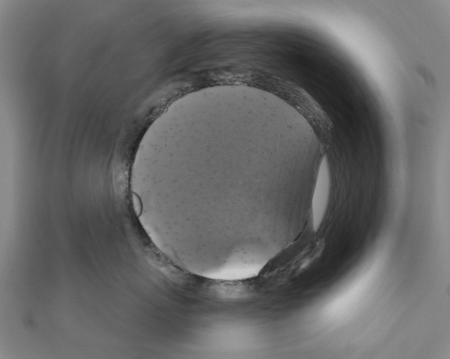 X0000111200767200908121110