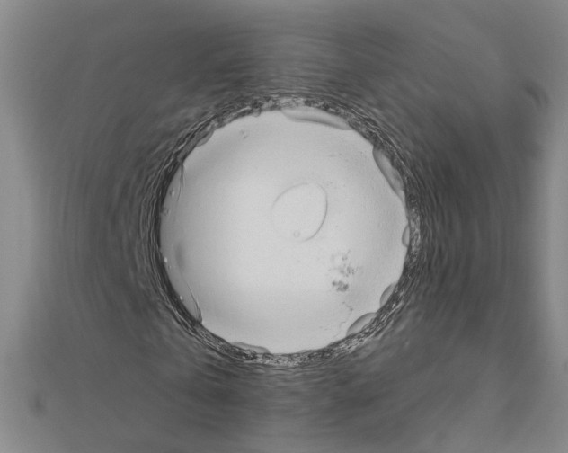 X0000111200769200908121109