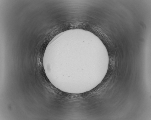 X0000111200770200908121109