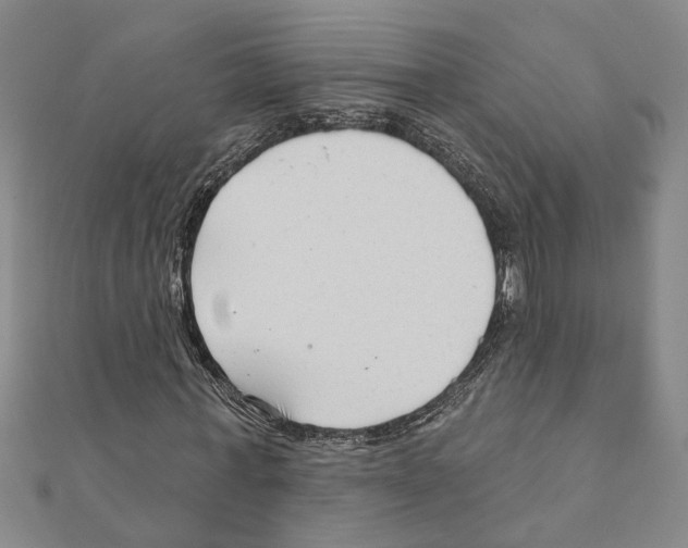 X0000111200771200908121109