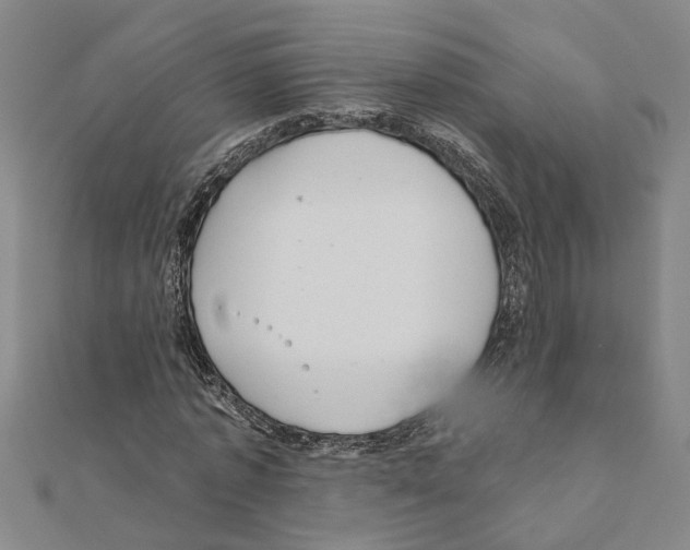 X0000111200773200908121109