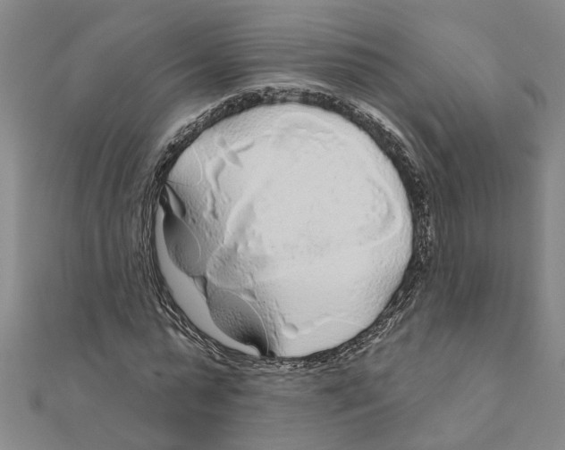 X0000111200775200908121109