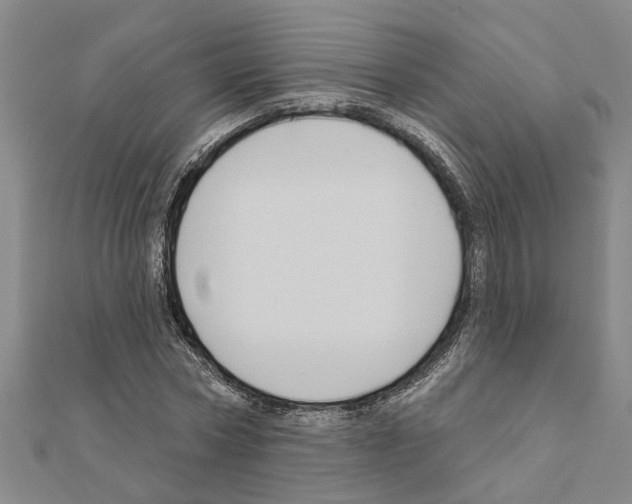 X0000111200778200908121109