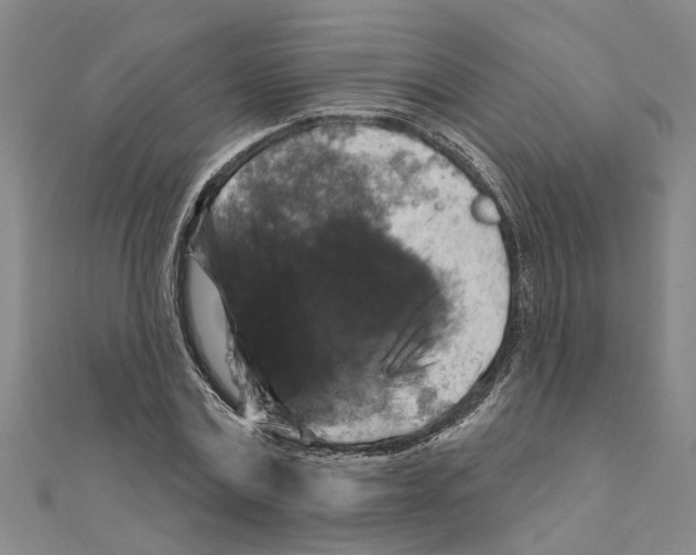 X0000111200779200908121109