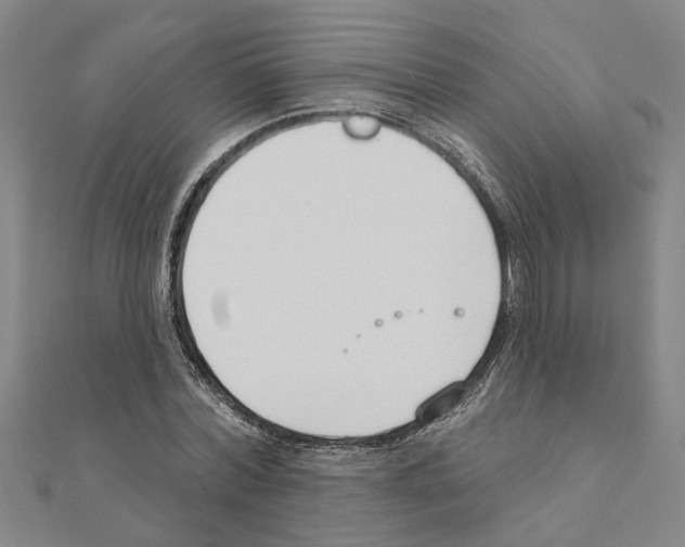 X0000111200780200908121109