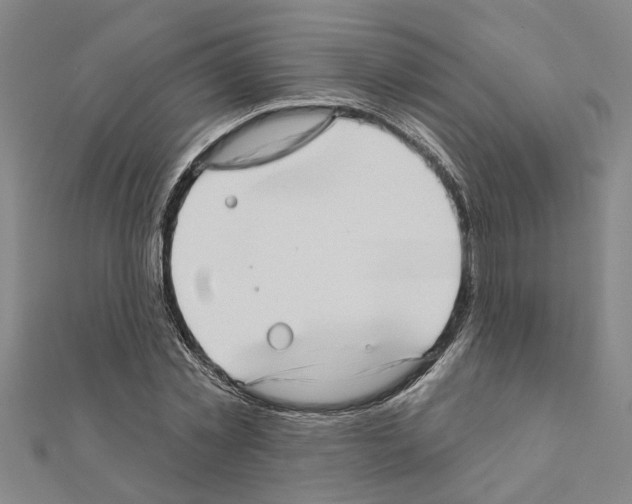 X0000111200781200908121109