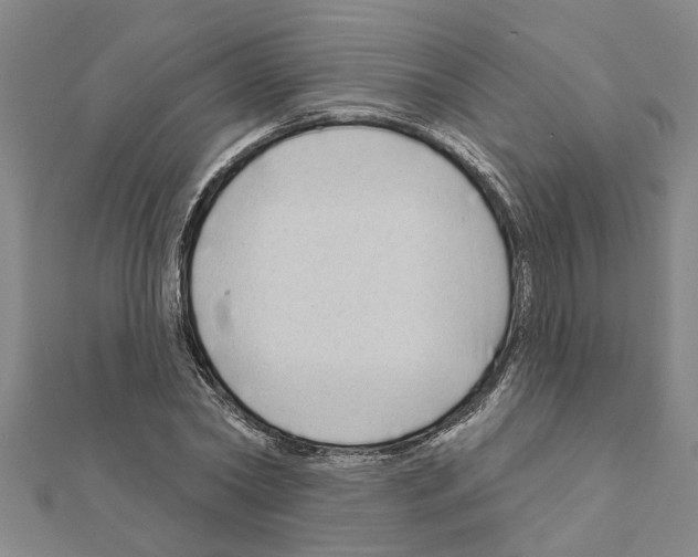 X0000111200782200908121109