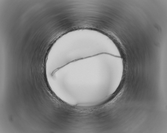 X0000111200785200908121109