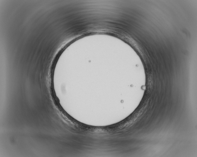 X0000111200787200908121109