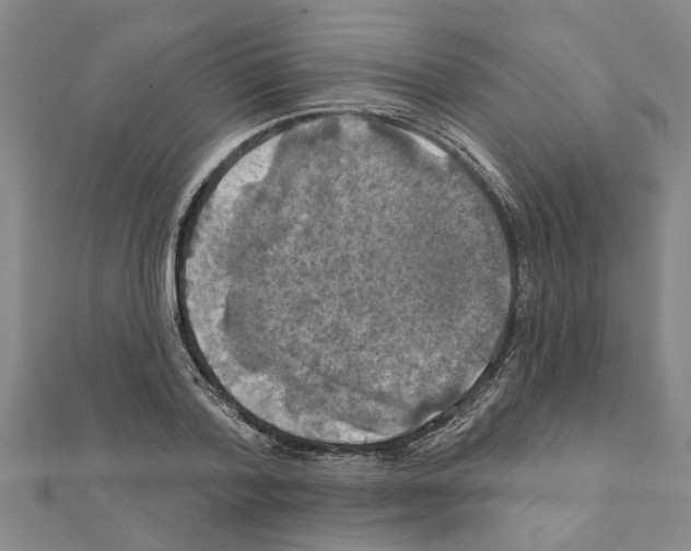 X0000111200788200908121109