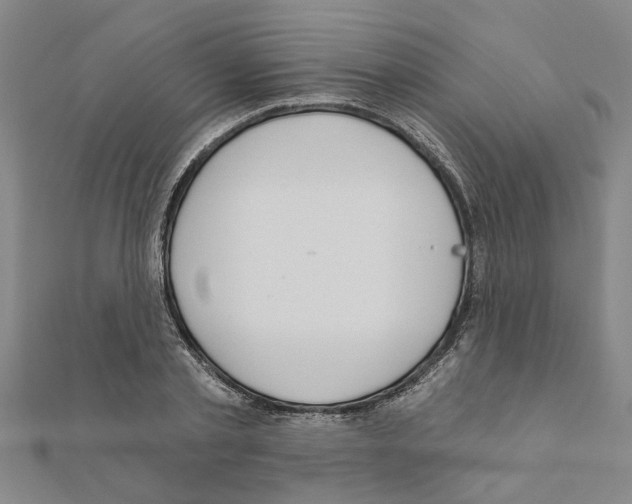 X0000111200789200908121109