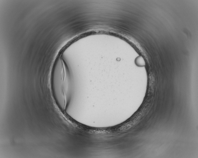 X0000111200791200908121109