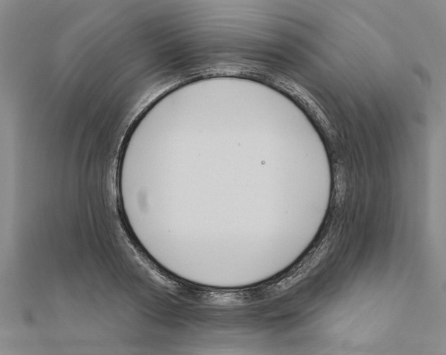 X0000111200794200908121109