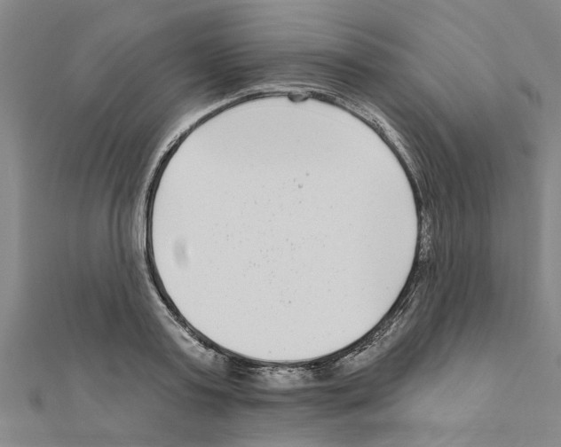 X0000111200795200908121109