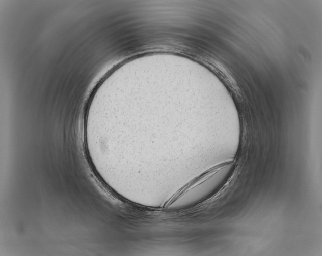 X0000111200796200908121109