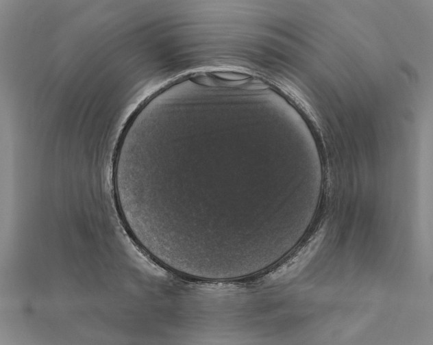 X0000111200797200908121109