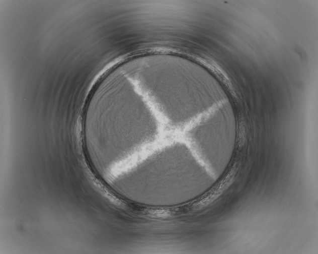 X0000111200798200908121109