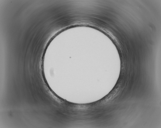 X0000111200799200908121109