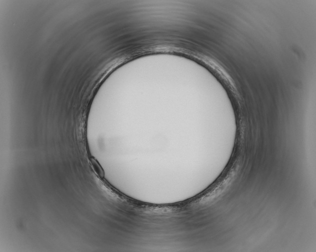 X0000111200801200908121109