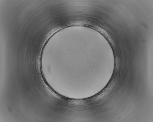 X0000111200802200908121109