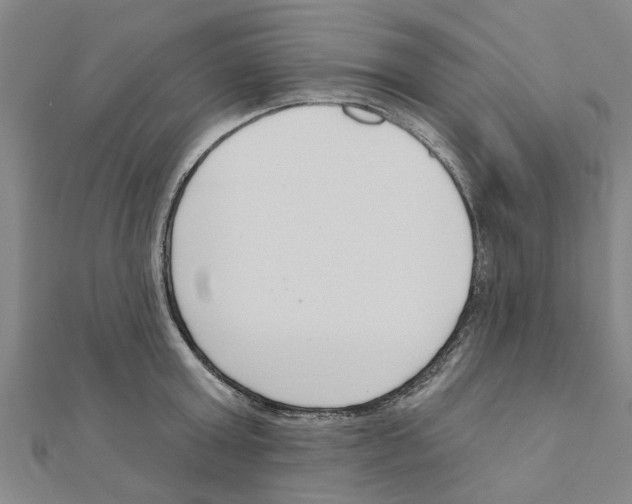 X0000111200803200908121109