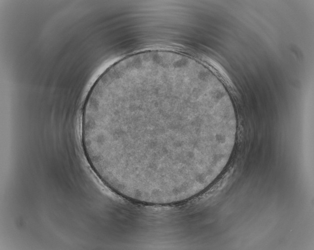 X0000111200804200908121109