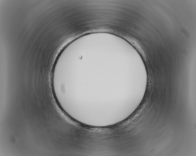 X0000111200805200908121109