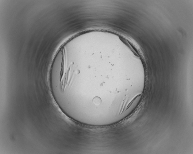 X0000111200807200908121109