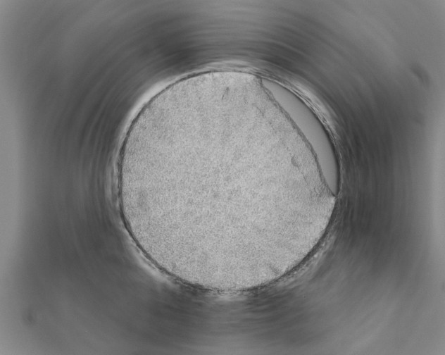 X0000111200808200908121109