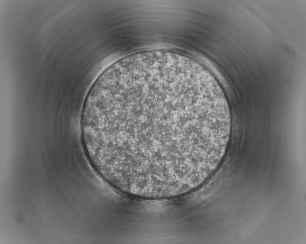 X0000111200810200908121109