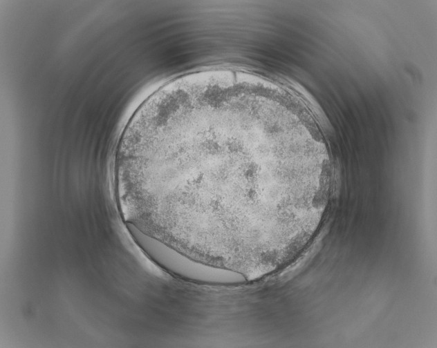 X0000111200812200908121109