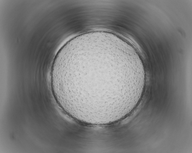 X0000111200814200908121109