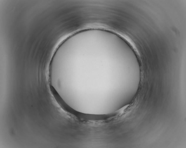 X0000111200815200908121109