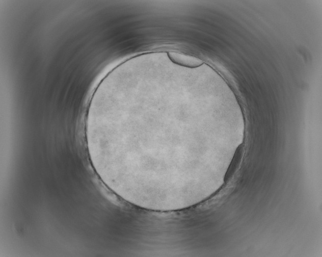 X0000111200816200908121109