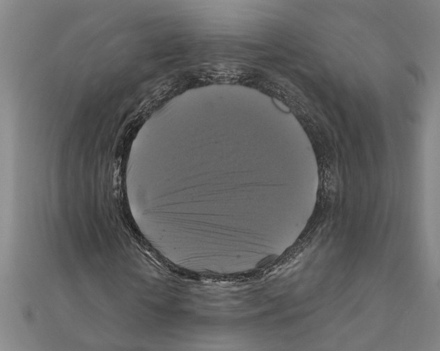 X0000111200818200908121108