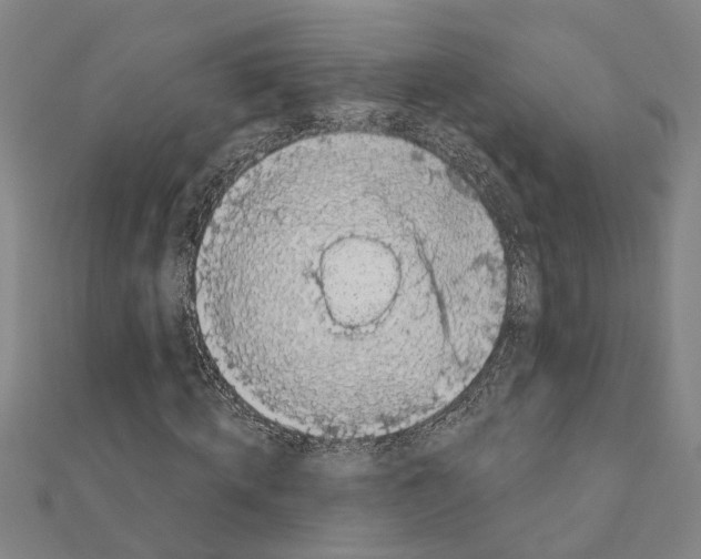 X0000111200820200908121108