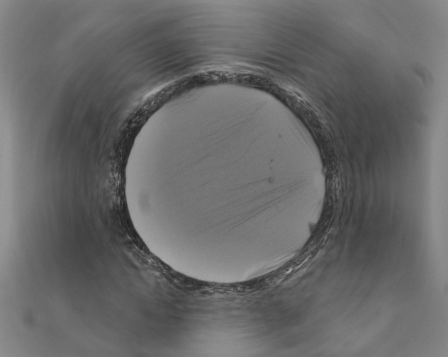 X0000111200822200908121108