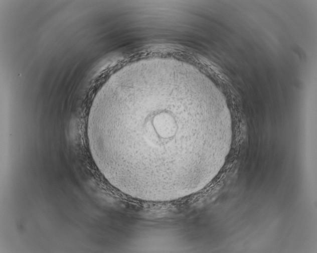 X0000111200824200908121108