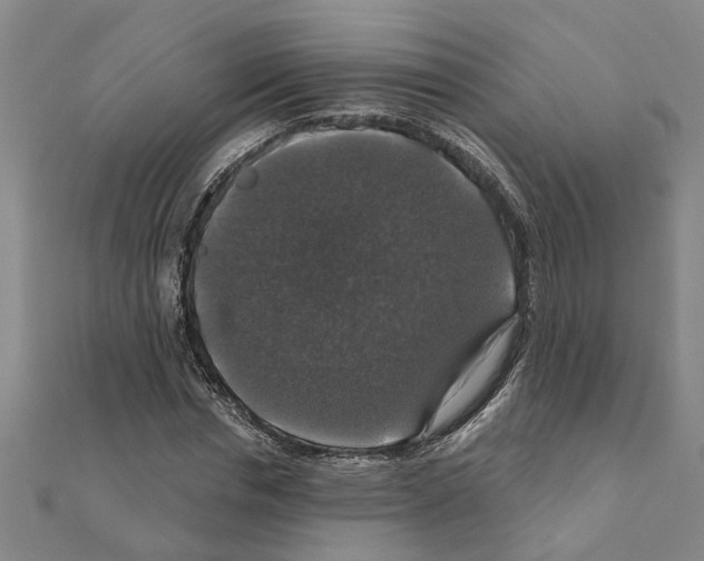 X0000111200826200908121108