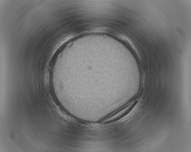 X0000111200827200908121108