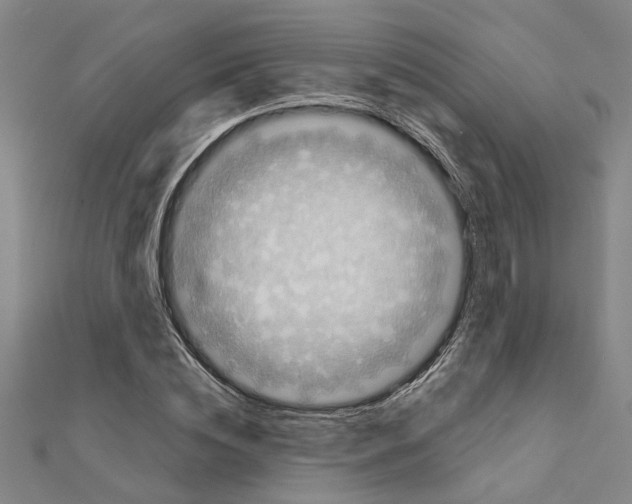 X0000111200828200908121108