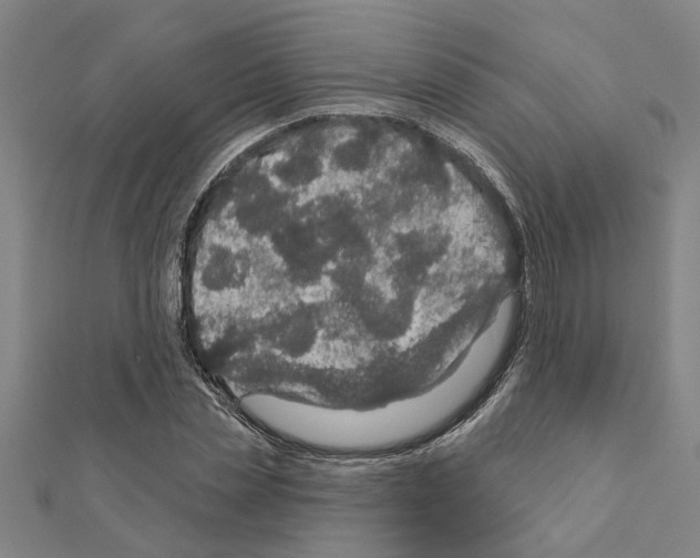 X0000111200829200908121108