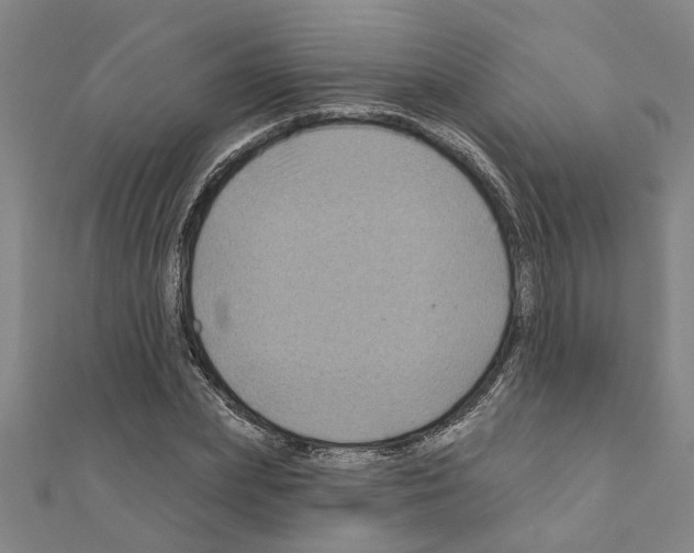 X0000111200831200908121108