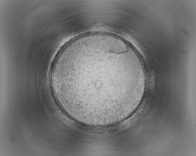 X0000111200832200908121108