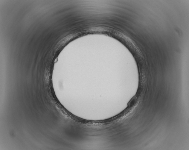 X0000111200833200908121108