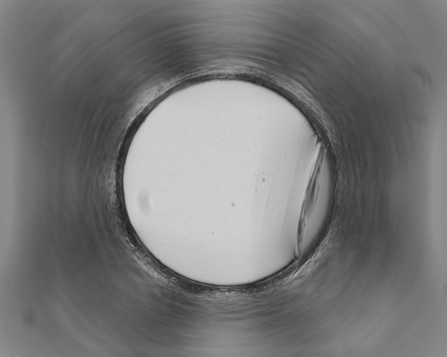 X0000111200834200908121108