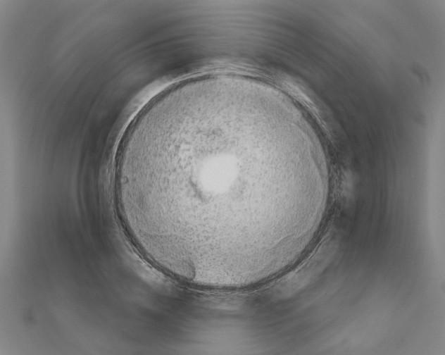 X0000111200836200908121108