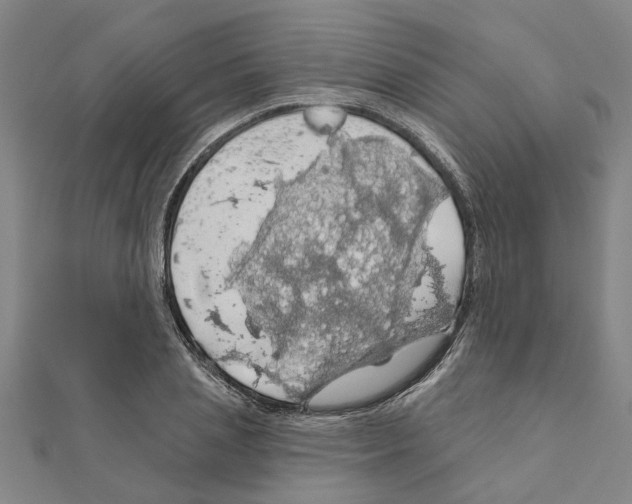 X0000111200837200908121108